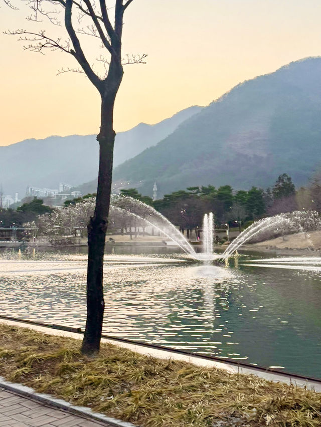 제주도 여행코스🌟