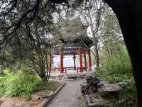 Soulful Beihai Park.
