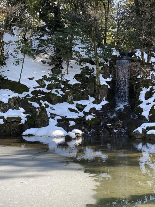 四季が彩る日本庭園🌸兼六園で心ほどけるひとときを