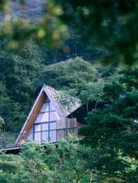 🌳🛖被問爆的清遠大羅山網紅民宿