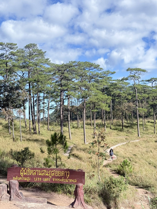 เดินป่าภูสอยดาว เมื่อปลายปีแล้ว 🌿