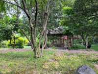 🌿 Humble Administrator’s Garden 拙政园 — A Classical Suzhou Gem