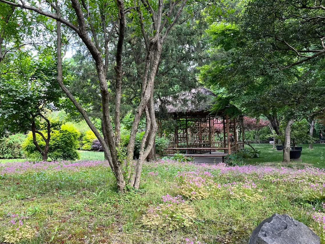 🌿 Humble Administrator’s Garden 拙政园 — A Classical Suzhou Gem