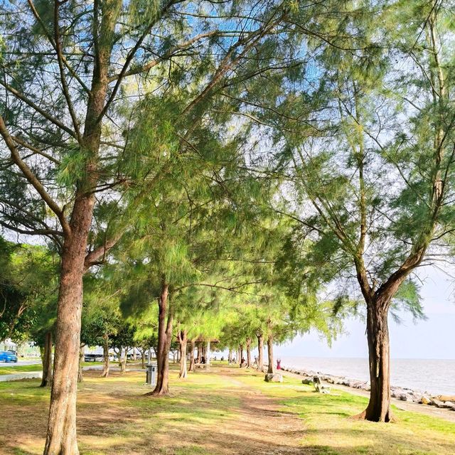 Perhentian Pontian: Unwind by the Waterfront – A Gentle Escape for Every Generation.