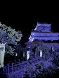 【絶景と歴史の融合】岐阜城から望む金華山のパノラマビュー