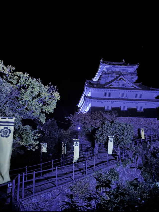 【絶景と歴史の融合】岐阜城から望む金華山のパノラマビュー