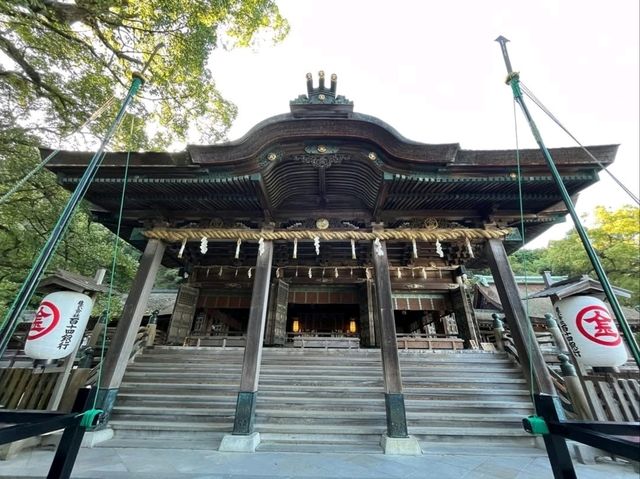 Stairway to Shrine Heaven at Kotohira 