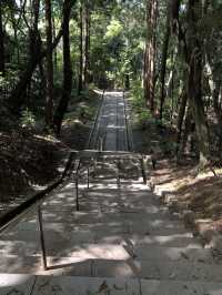 【神々の道をたどる旅🌌】宗像大社で日本古来の信仰に触れる