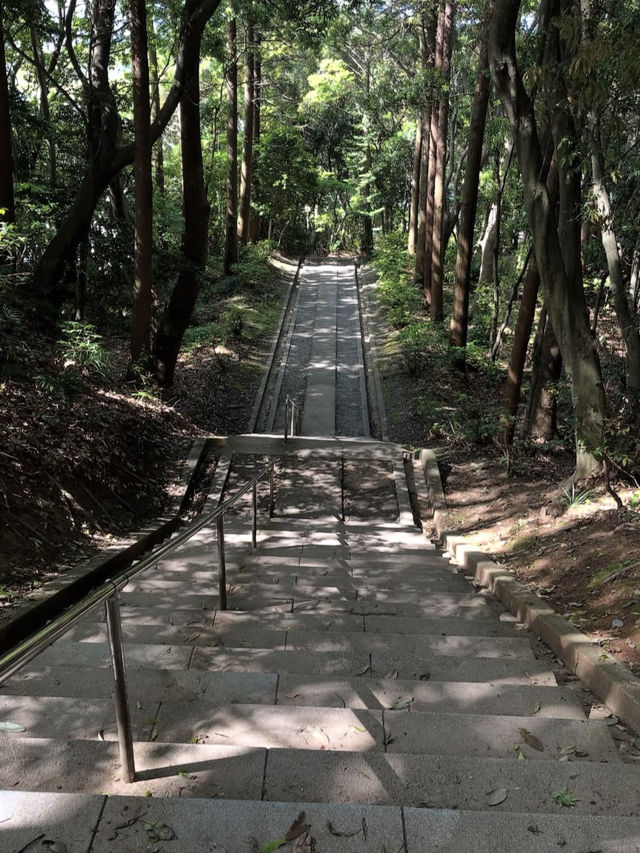 【神々の道をたどる旅🌌】宗像大社で日本古来の信仰に触れる