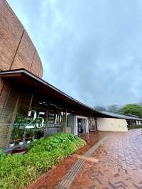佐賀武雄圖書館・美到目不轉睛