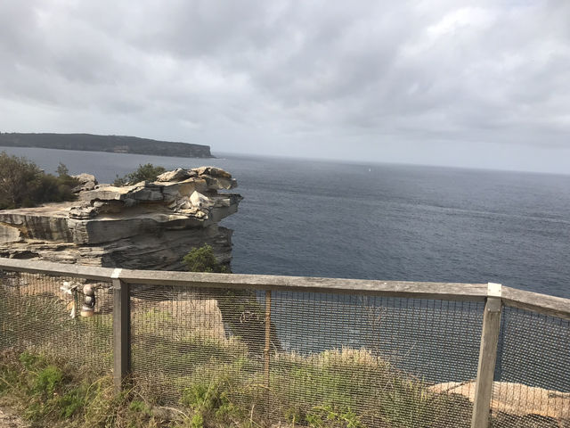 🌅 Watsons Bay – Laid-back Coastal Charm with Harbour Views