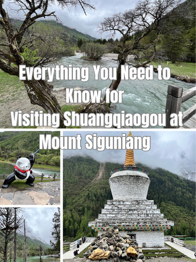 Everything You Need to Know for Visiting Shuangqiaogou at Mount Siguniang