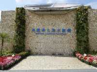 🐠 Dive into Wonder at Okinawa Churaumi Aquarium
