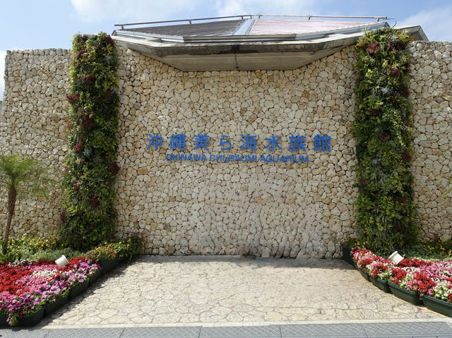 🐠 Dive into Wonder at Okinawa Churaumi Aquarium