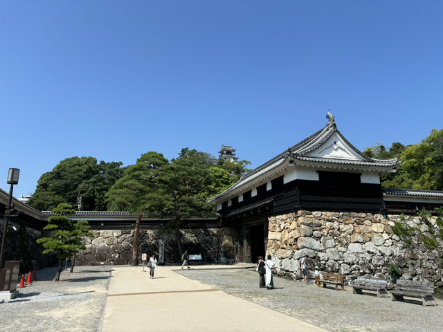 日本現存12天守-高知城