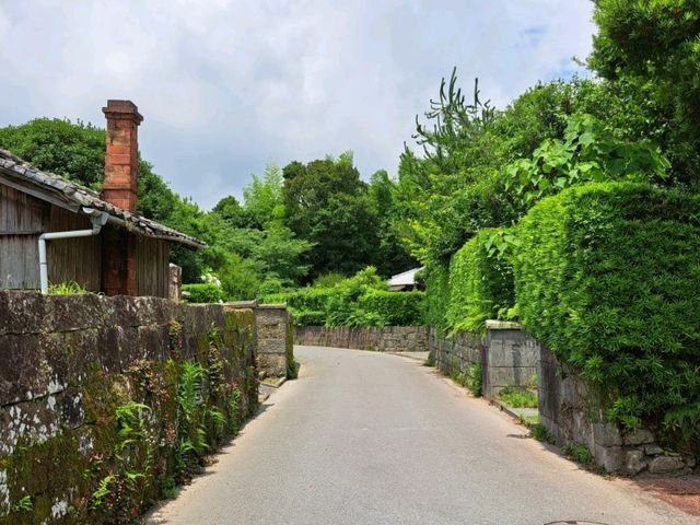 鹿児島ひとり旅～温泉旅館のランチと絶景に癒される💗～
