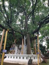 วัดเจ็ดยอด เชียงใหม่ – วัดที่มีแต่ความขลัง