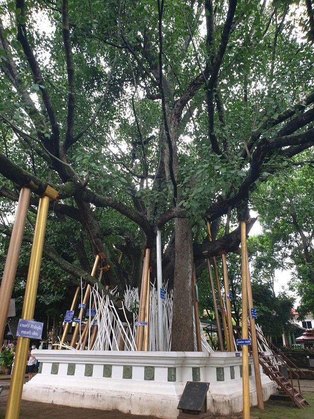 วัดเจ็ดยอด เชียงใหม่ – วัดที่มีแต่ความขลัง