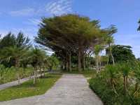 miri city hall park 