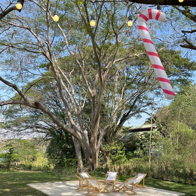 🌿☕ Like A Mountain – คาเฟ่วิวภูเขาใจกลางเขาใหญ่ 🏞️