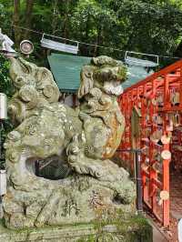 〔金澤稻荷神社〕 石浦神社旁的千本小鳥居 ⛩️