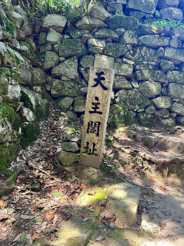 【信長の夢が眠る城跡🏯】安土城跡で戦国ロマンに浸る旅🔥