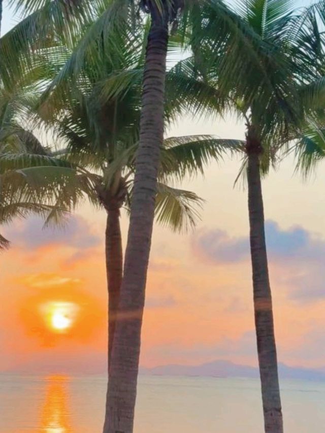 三亞「小天堂」⛱️🥥🍹蜈支洲島全攻略