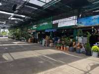 ตลาดต้นไม้สันติสุข สามโคก ปทุมธานี