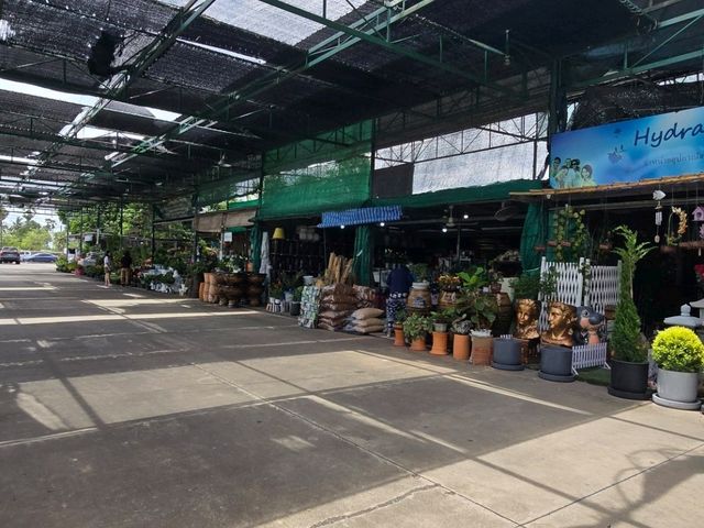 ตลาดต้นไม้สันติสุข สามโคก ปทุมธานี