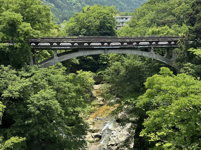 Gunma: Beyond Onsens, I Discovered Stylish Bagels & Coffee! ☕🥯