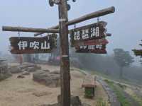 三重山頂秘境！絕美公園四季皆風景！