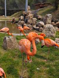 ~汕頭動物園~奇妙世界~