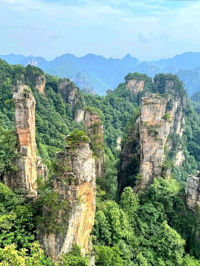 Feeling Like I Stepped Into a Movie – Zhangjiajie Avatar Hallelujah Mountain