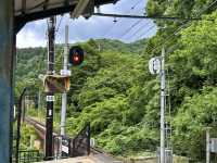 Eizan Electric Railway: My Journey on the "Train to the Green Forest"! 🌳🚃