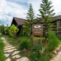 Pine Village เชียงใหม่ 