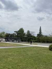 🏛️🌸📜 Kyoto National Museum – Where Time Speaks in Brushstrokes