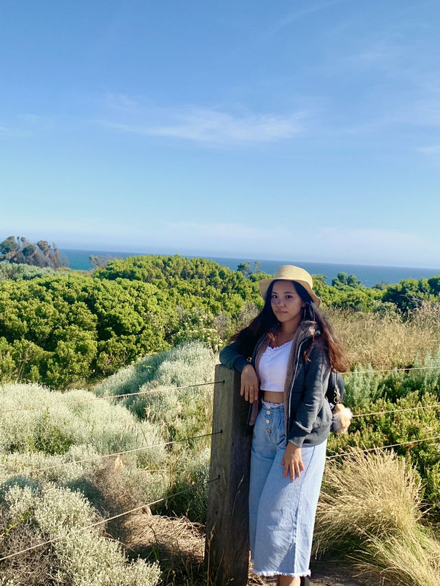 🌊 Explore the Iconic Great Ocean Road 