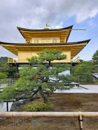 A Quiet Visit to the Golden Pavilion, Japan