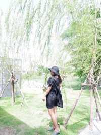 • under T • คาเฟ่สุดชิลใต้ต้นไม้ใหญ่