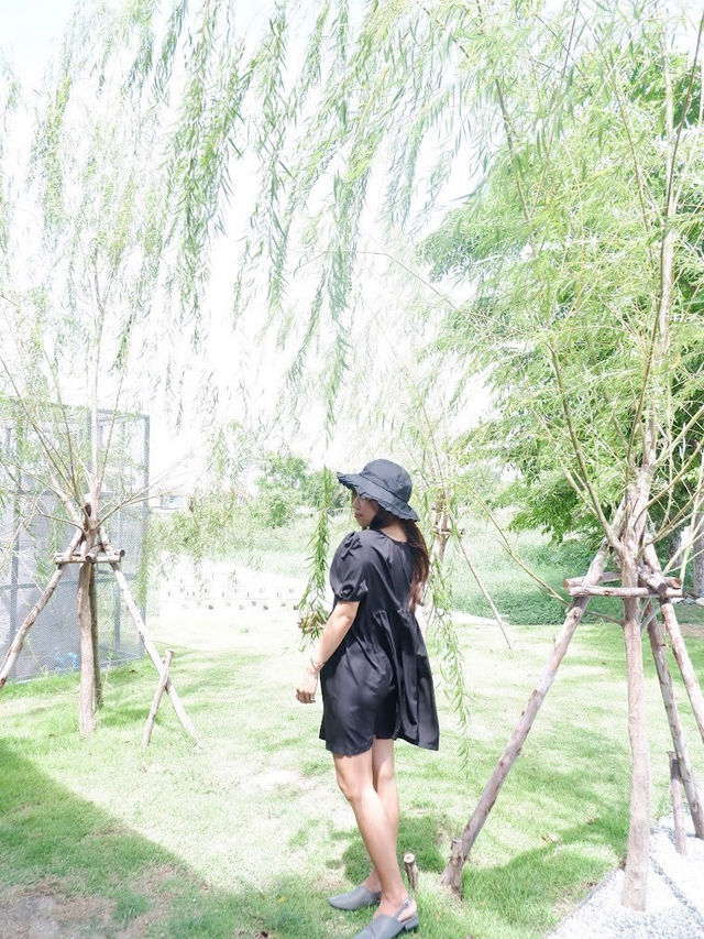 • under T • คาเฟ่สุดชิลใต้ต้นไม้ใหญ่