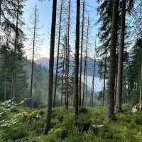 Gesäuse National Park