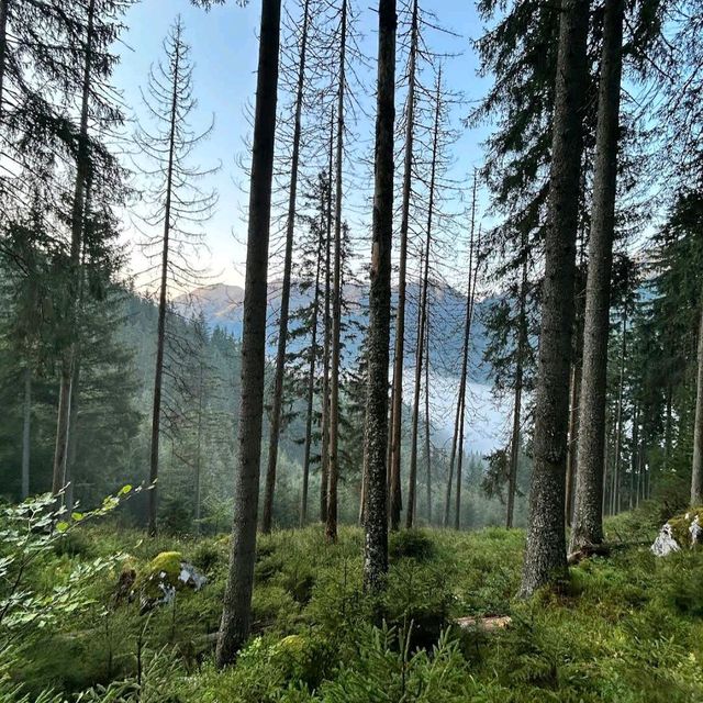 Gesäuse National Park