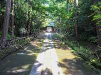 【神奈川県】 源氏のルーツを残す鎌倉五山の一寺『寿福寺』