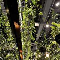 【東京/青山🇯🇵】お花に囲まれて🌼 青山フラワーマーケットgreen house