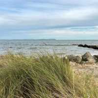 Beautiful beach, soft sand, loads of parking and Great walking around Hengistbury Head.