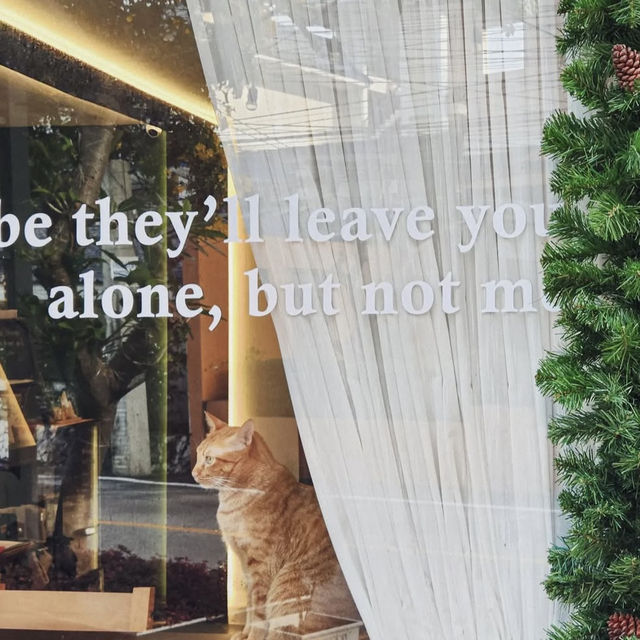 Mistletoe Flour Thyme – Pattaya  