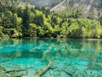 Whispers of Water: Serenity in Every Shade of Blue