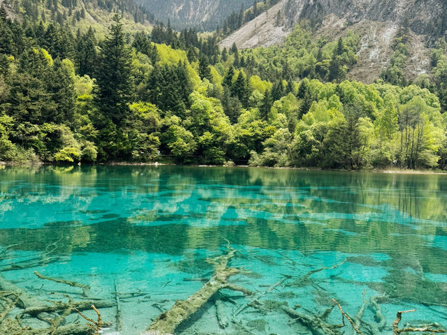 Whispers of Water: Serenity in Every Shade of Blue