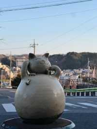 🇯🇵 Tokyo’s Secret Cat Town: A Nostalgic Escape to Ōme City 🐾📷