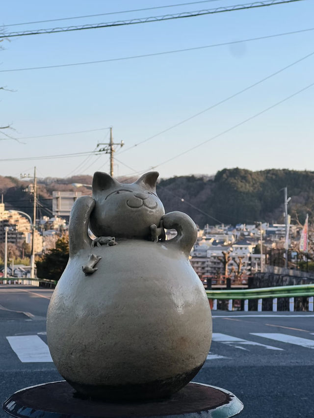 🇯🇵 Tokyo’s Secret Cat Town: A Nostalgic Escape to Ōme City 🐾📷